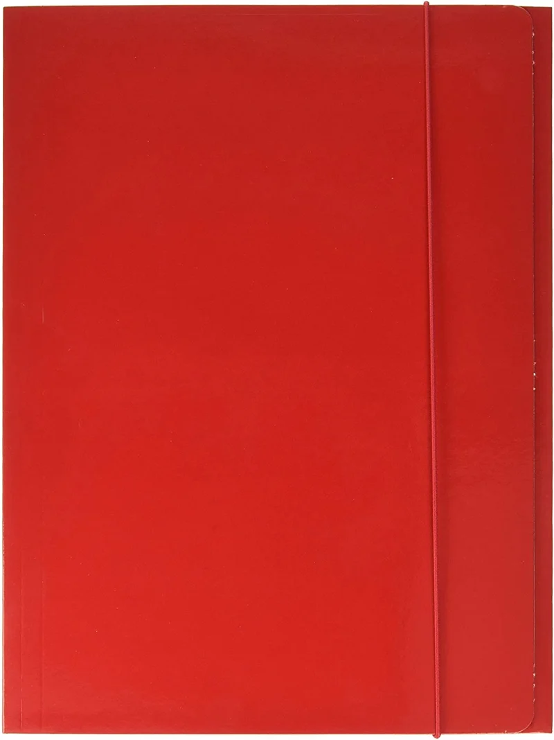 10 Cartelle Raccoglitori 3 Lembi con Elastico - Colori Vari