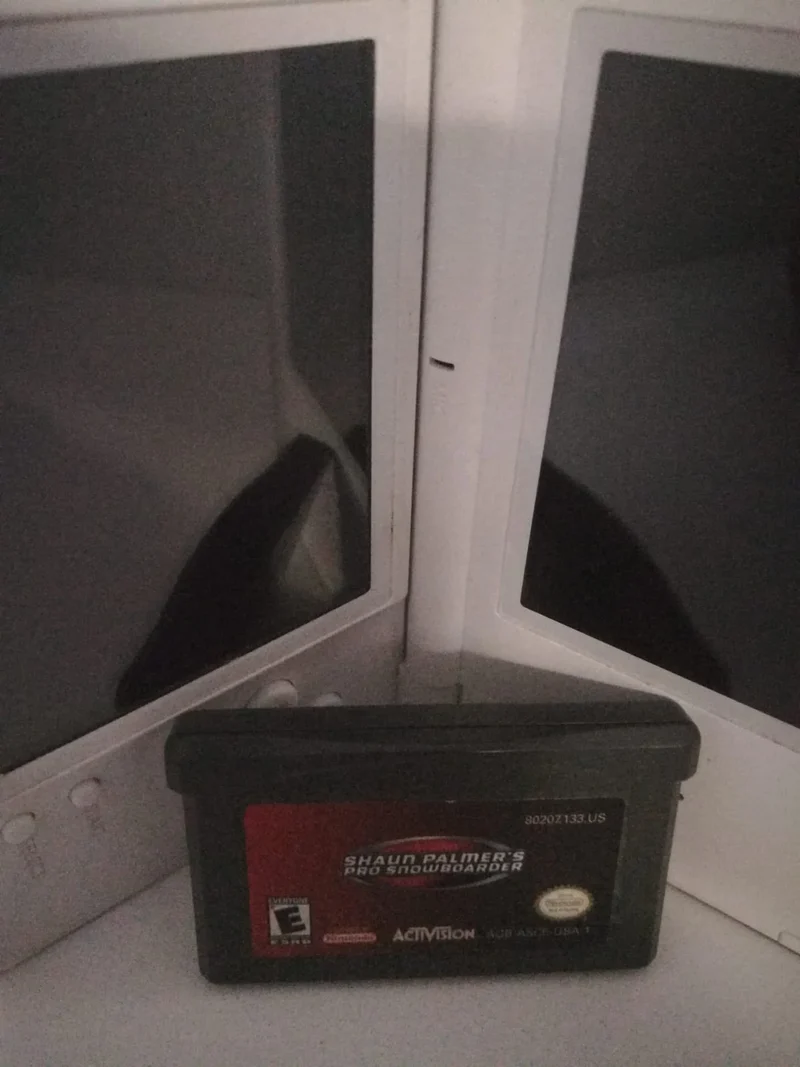 SHAUN PALMER'S PRO SNOWBORDER GBA NINTENDO