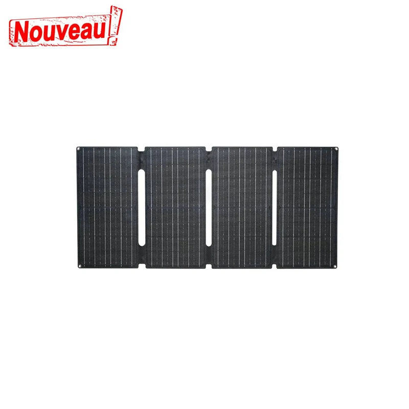 🎁 ALLPOWERS SE60 Panneau Solaire Portable 60W (100% off)