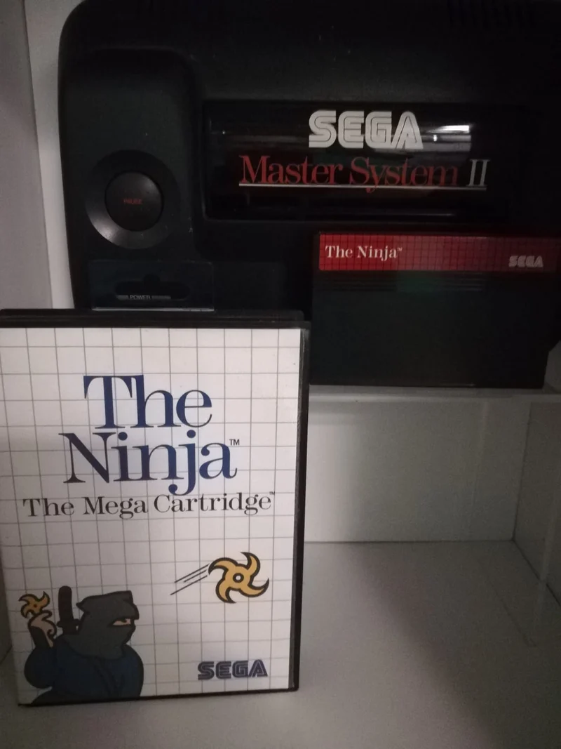 THE NINJA MASTER SYSTEM SEGA