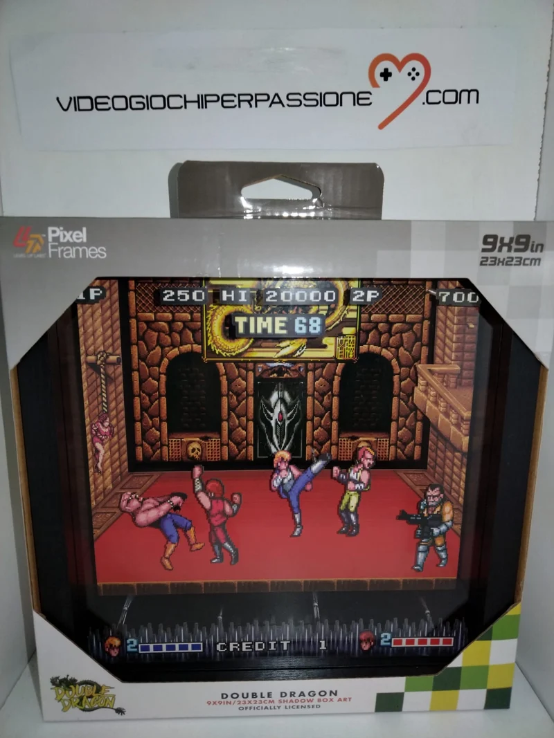 Pixel Frames Double Dragon