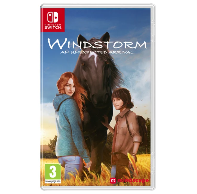 Windstorm: An Unexpected Arrival Nintendo Switch